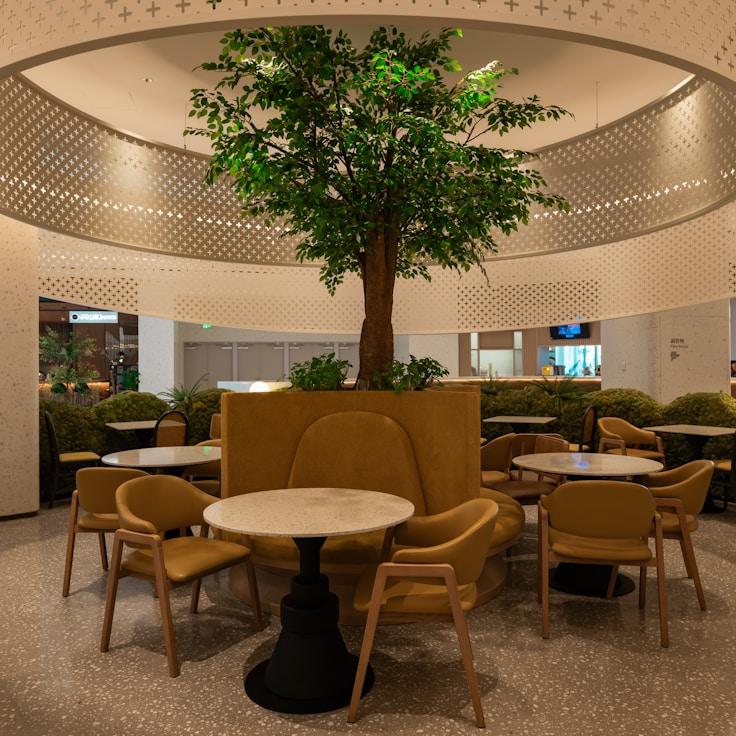 School choices for expat families in Berlin, Germany